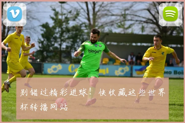 别错过精彩进球！快收藏这些世界杯转播网站